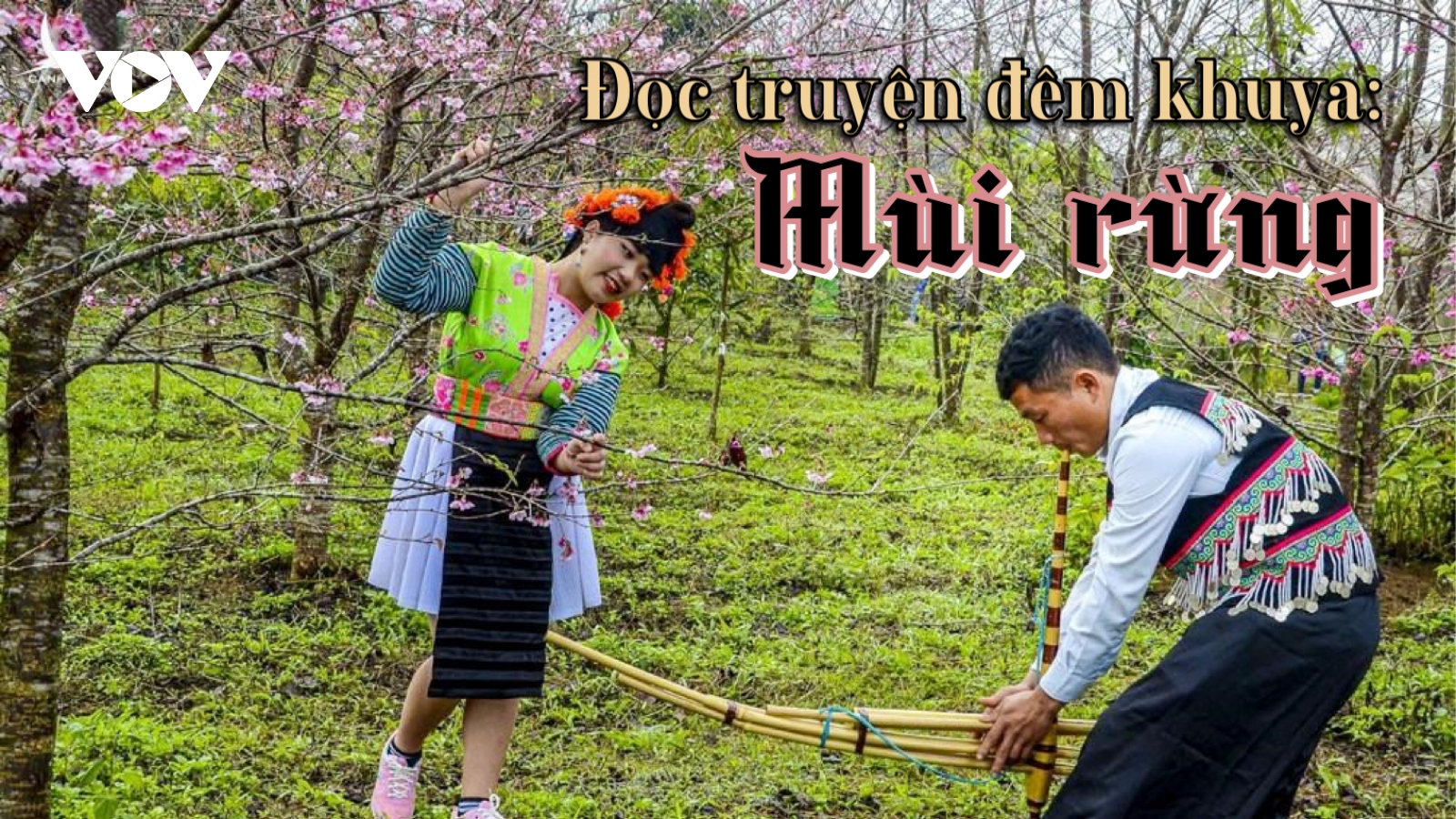 Truyện ngắn: "Mùi rừng" - Khát vọng của phụ nữ vùng cao